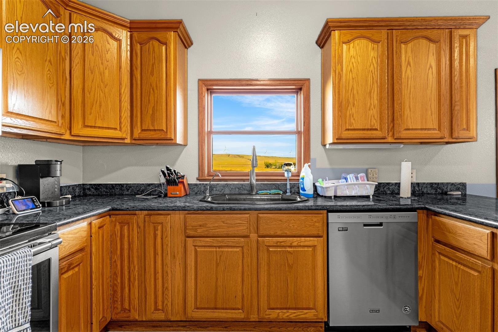 Wood-finish cabinetry, dark countertops, stainless steel dishwasher, and a window with outdoor scenery