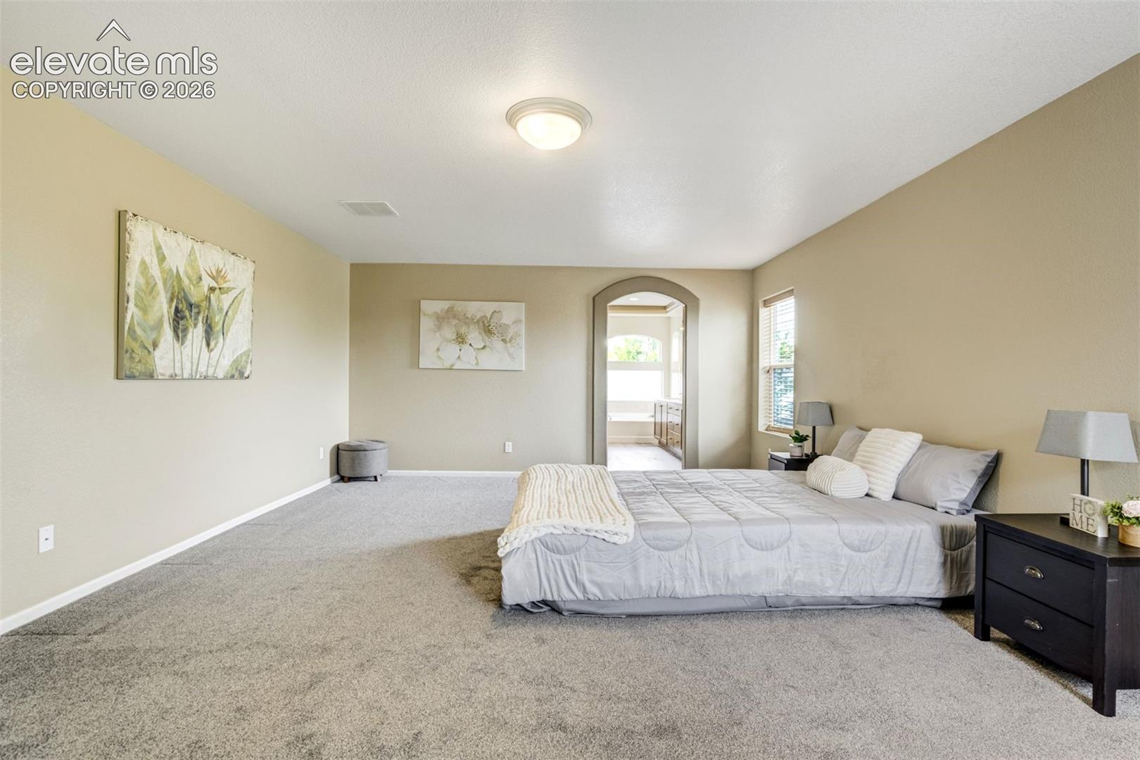 Photo 19 of 2317 Cactus Bloom Court, Castle Rock