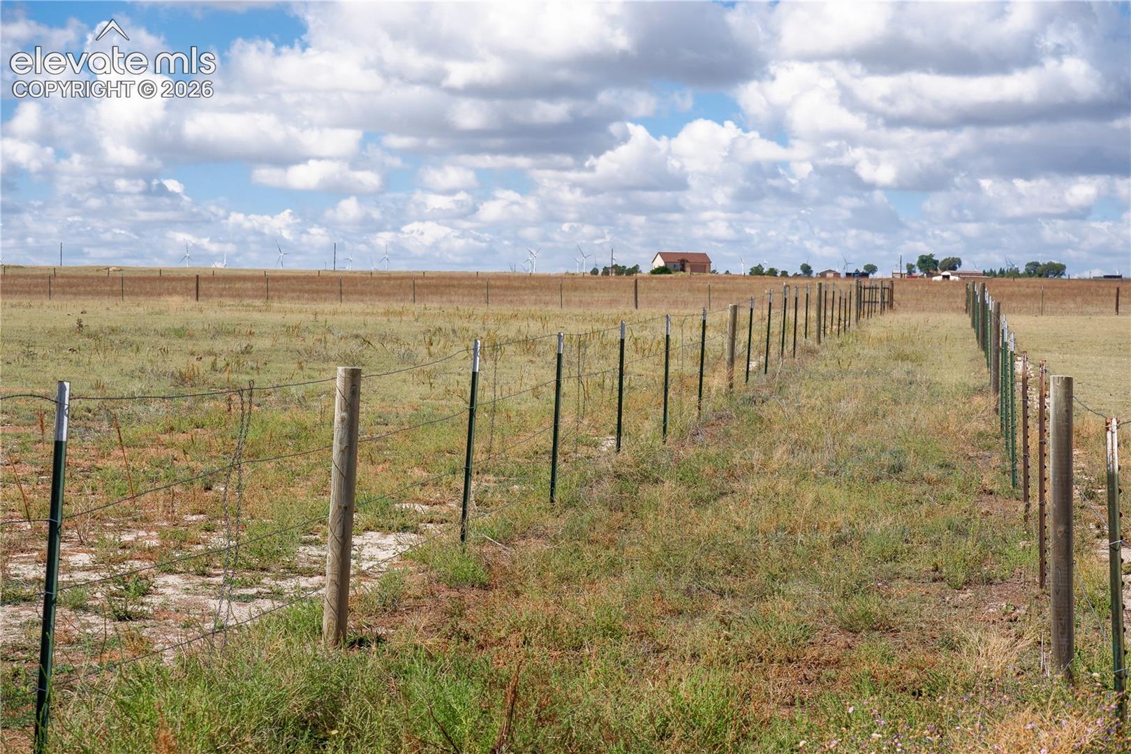 alleyway between pastures