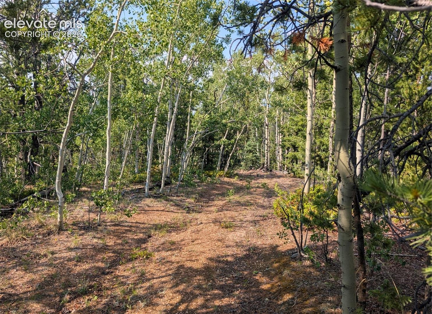 Photo 7 of Fairview Drive, Cripple Creek