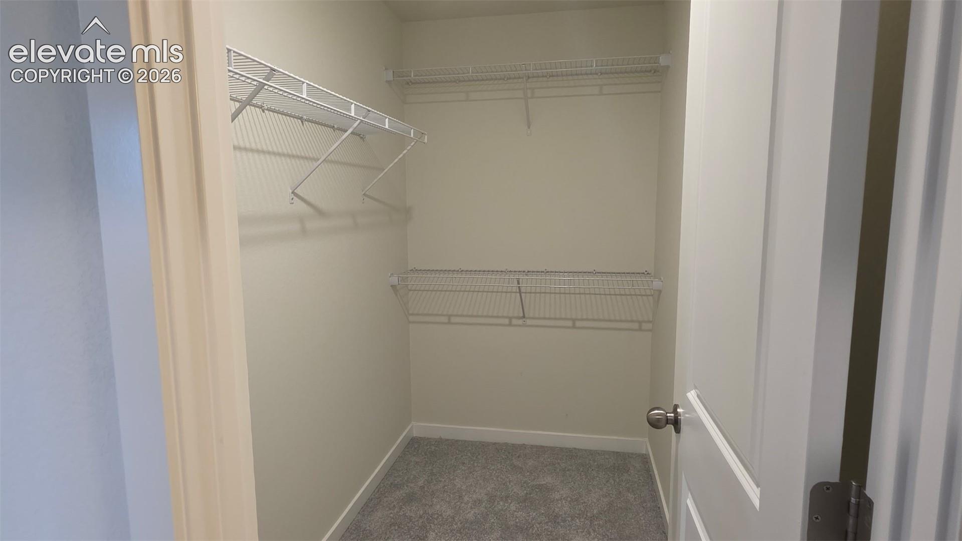 5135 Omeara Court photo 9