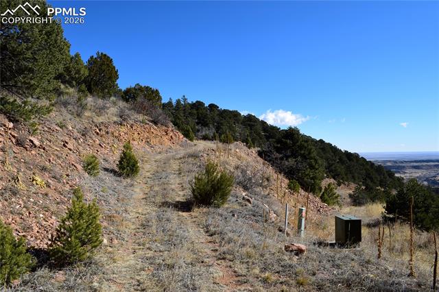 Photo 8 of 3735 Big Spruce Heights, Colorado Springs