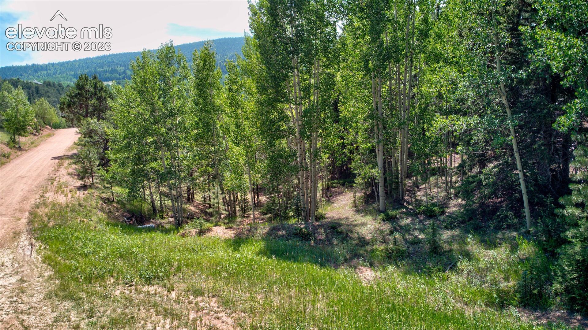 Photo 14 of 158 Rattler Court, Cripple Creek