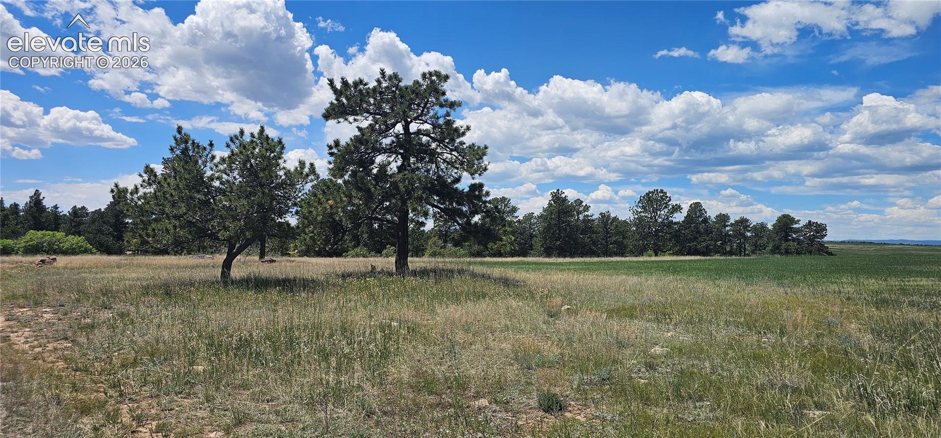 Photo 21 of 13001 E Cherry Creek Road, Franktown