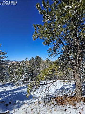 Photo 9 of 829 Princess Road, Cripple Creek
