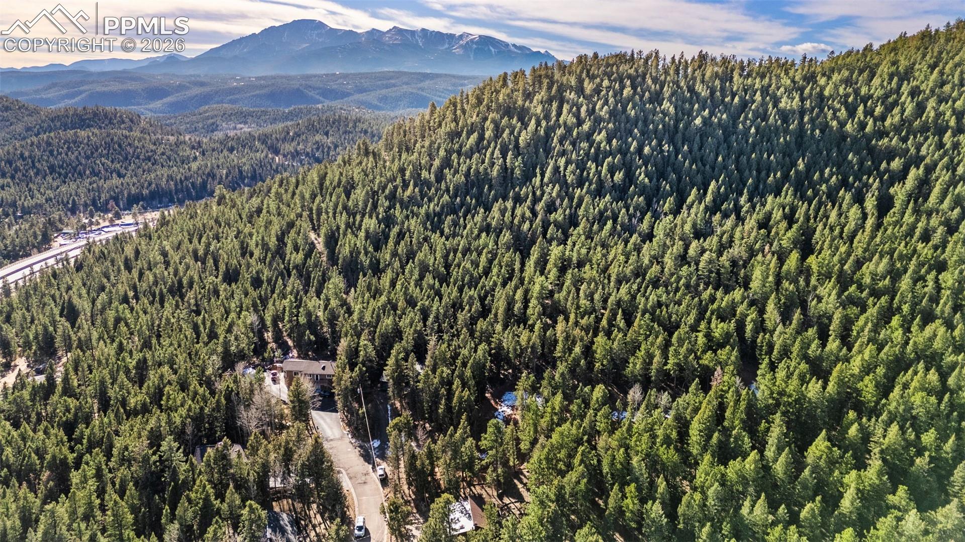 464 Evergreen Ct, Woodland Park, CO 80863