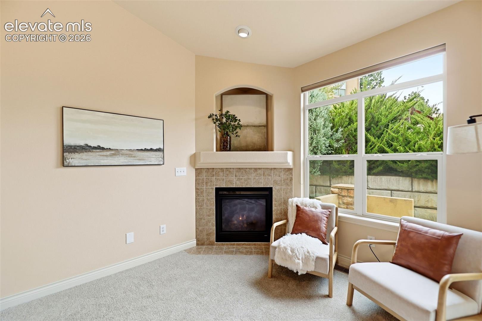 Photo 18 of 4580 Scarlet Drive, Colorado Springs