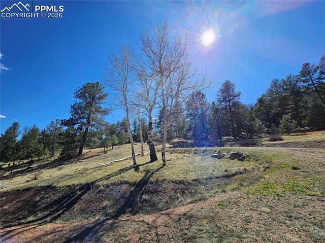 Photo 7 of 717 Canyon Drive, Florissant