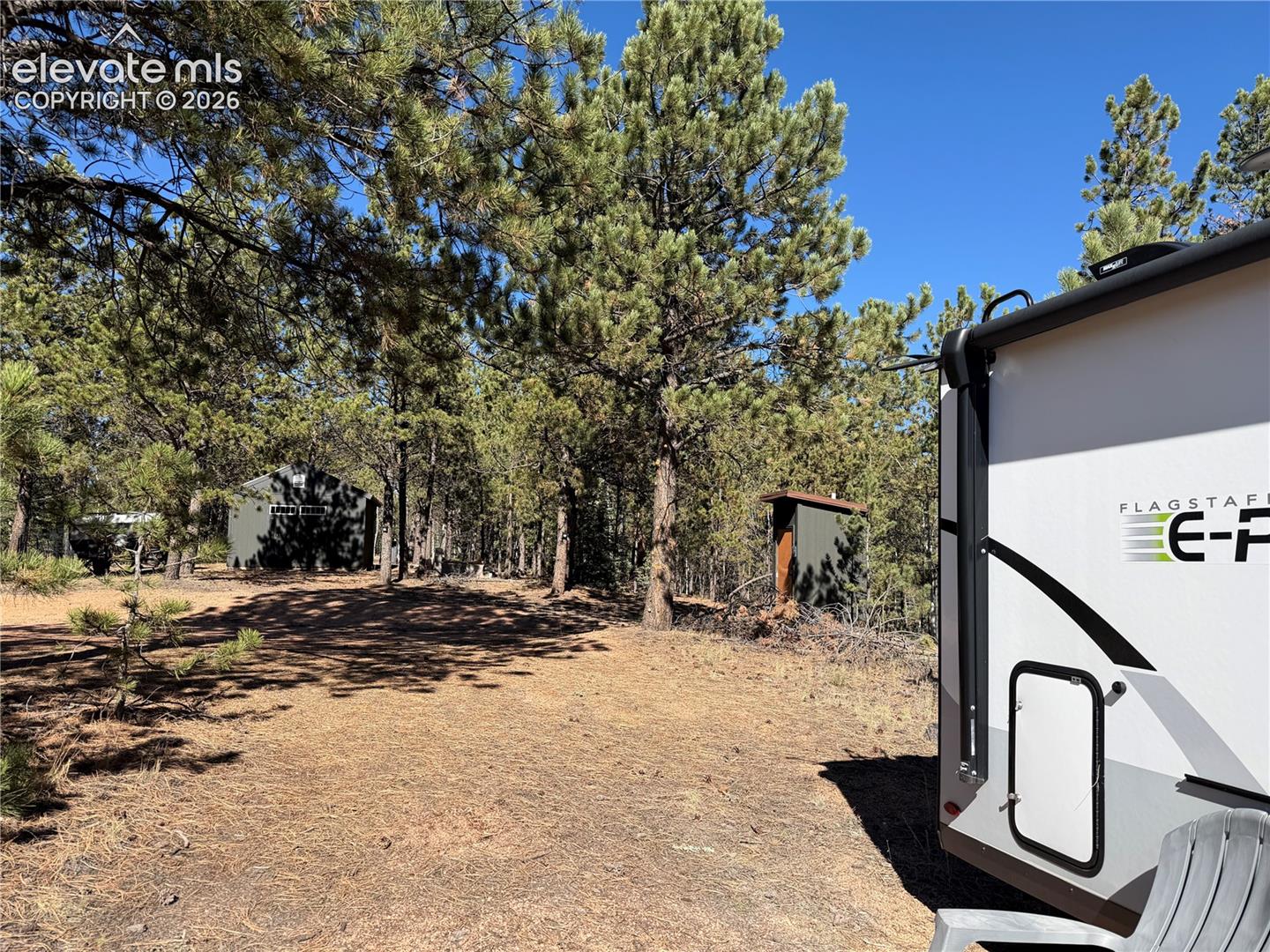 Wooded lot featuring mature pine trees, a cleared ground surface, a standalone storage structure, and an outdoor utility enclosure