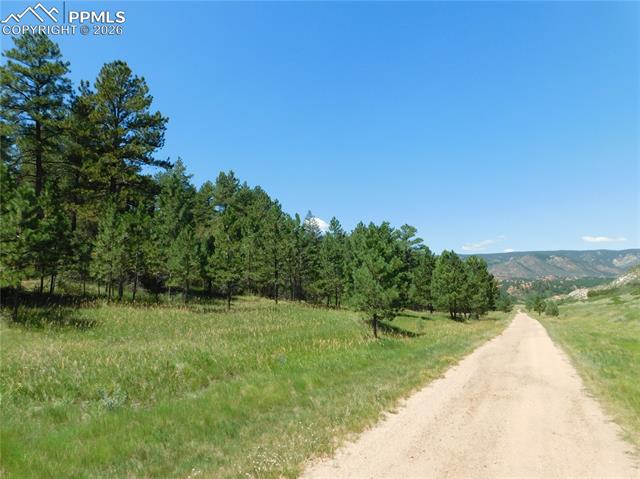 Photo 8 of 4668 Comanche Drive, Larkspur