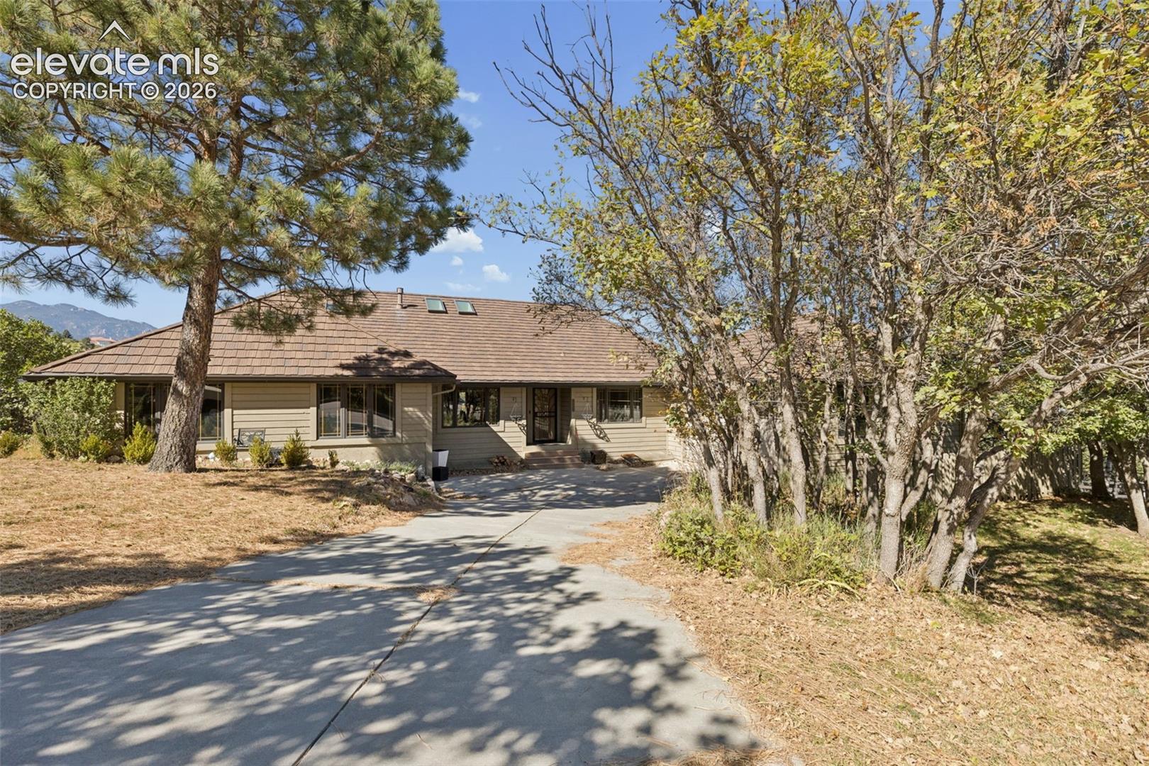 Single-story residence featuring horizontal siding, a hipped roof with skylights, a concrete driveway, and mature tree landscaping