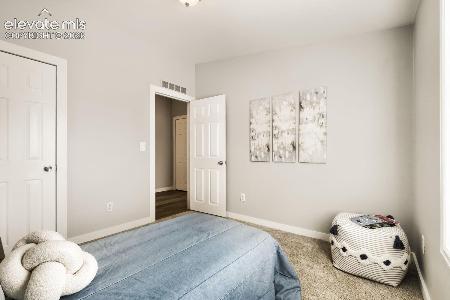 Interior room featuring neutral-toned carpeting, two-panel interior doors, and overhead flush-mount lighting