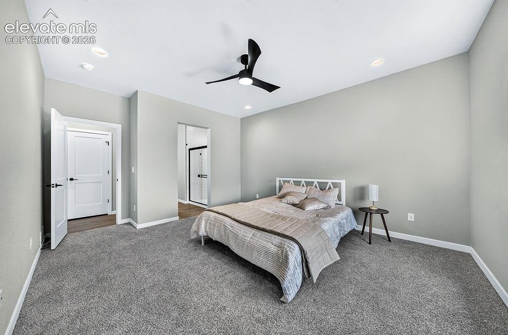 Spacious room featuring neutral carpeting, light gray walls, a modern black ceiling fan, recessed lighting, and white trim