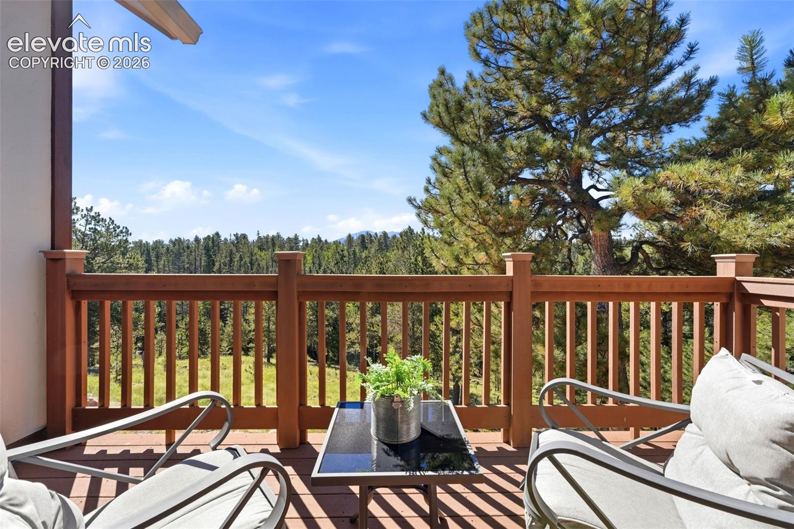 Outdoor deck with wood-finish railing and decking