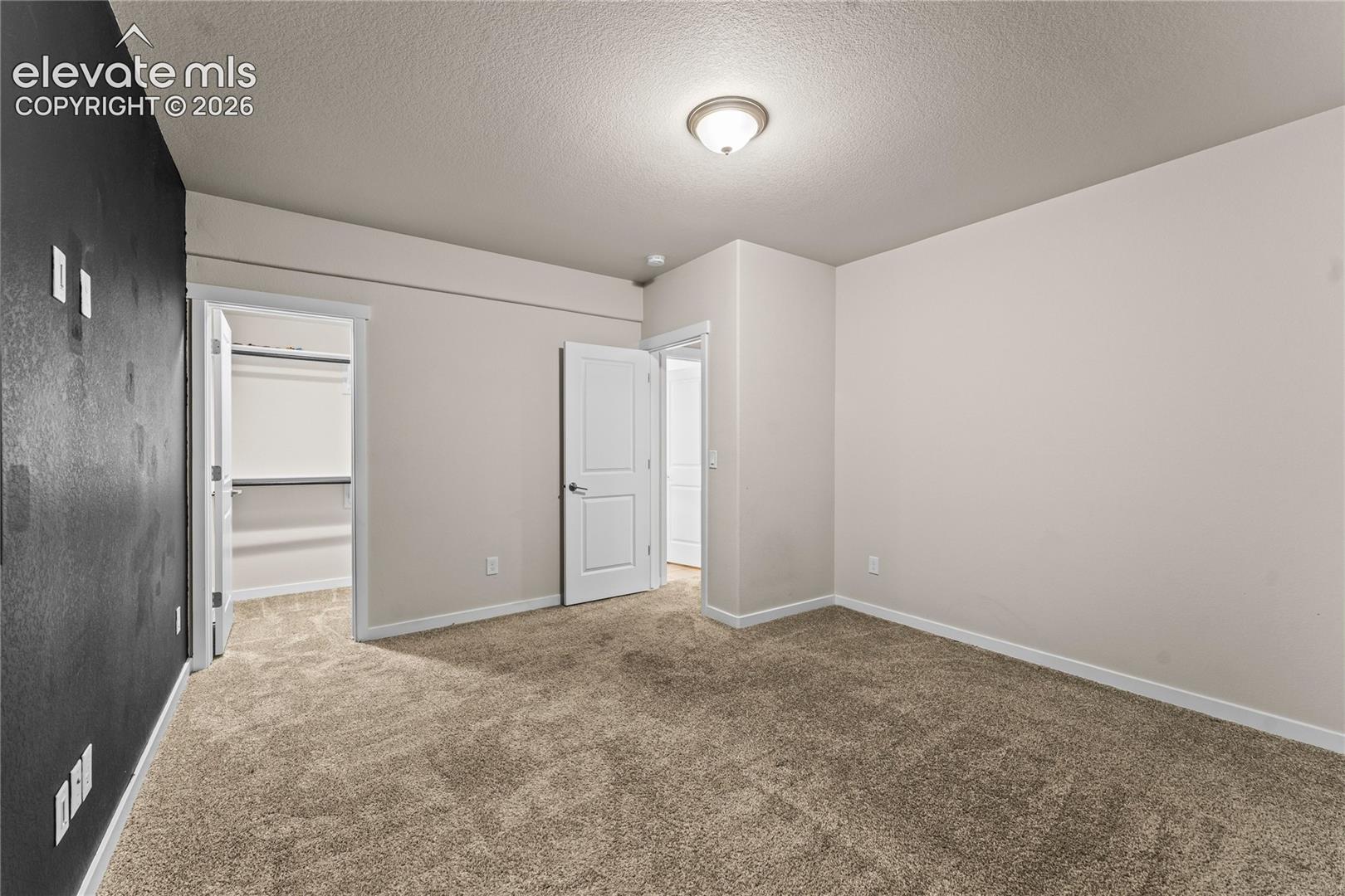 Room featuring neutral carpeting, a contrasting dark accent wall, a walk-in closet, and a flush-mount ceiling light fixture