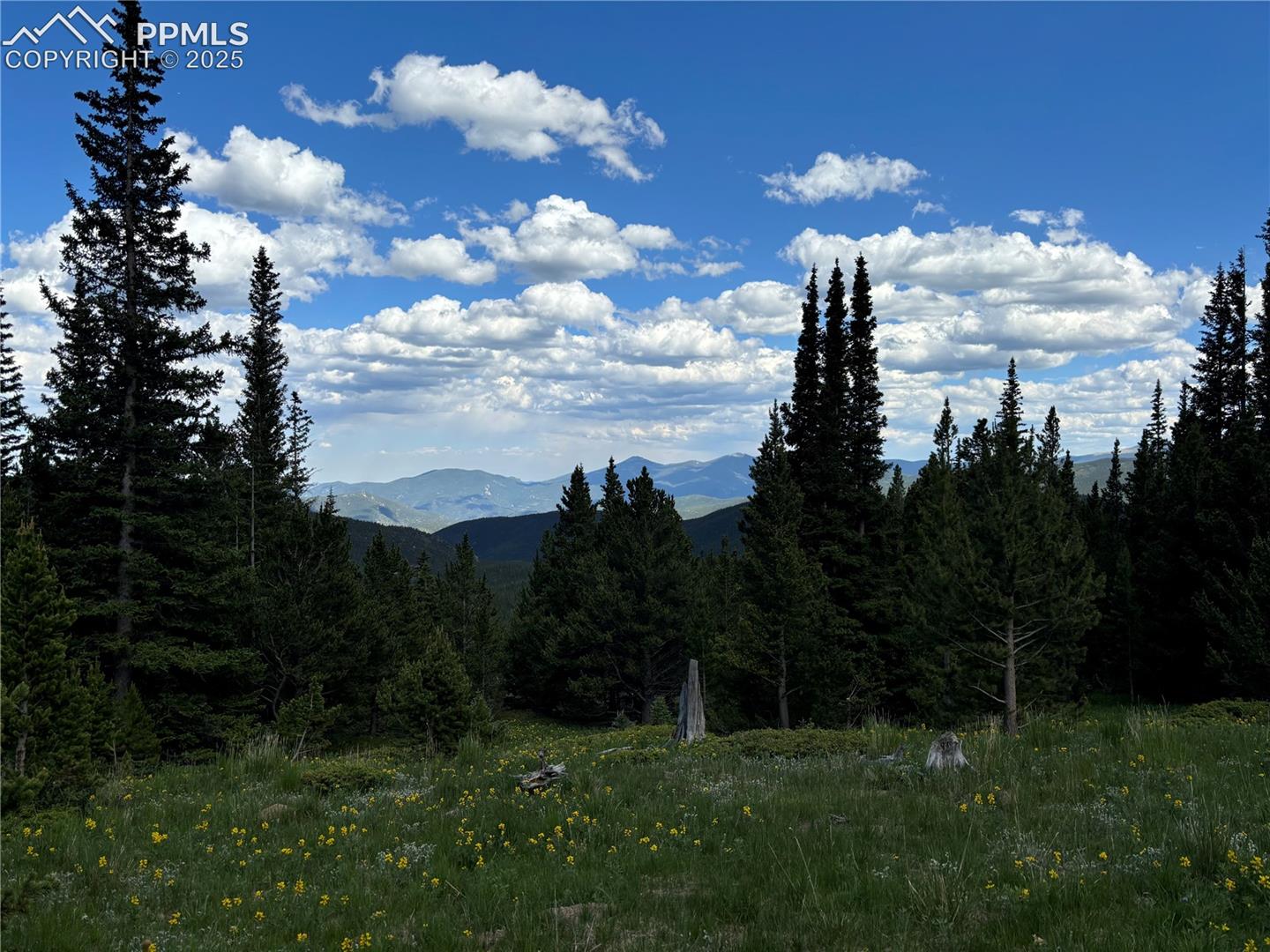 Photo 6 of Hilltop Road, Idaho Springs