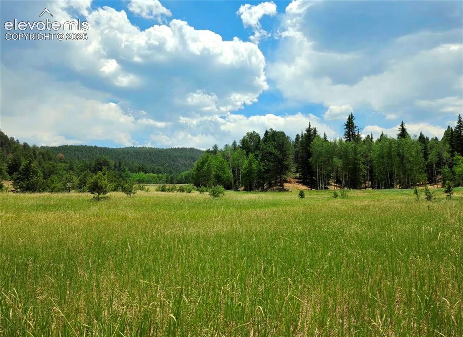 Back Meadow