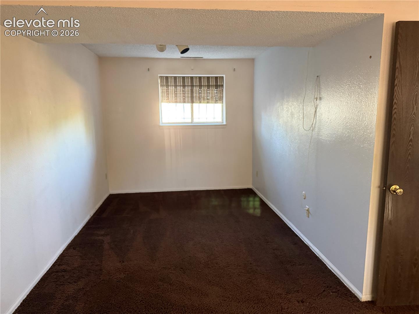 Bedroom 3 in lower level with carpeting, a single window, and a solid-core door with brass-finish hardware