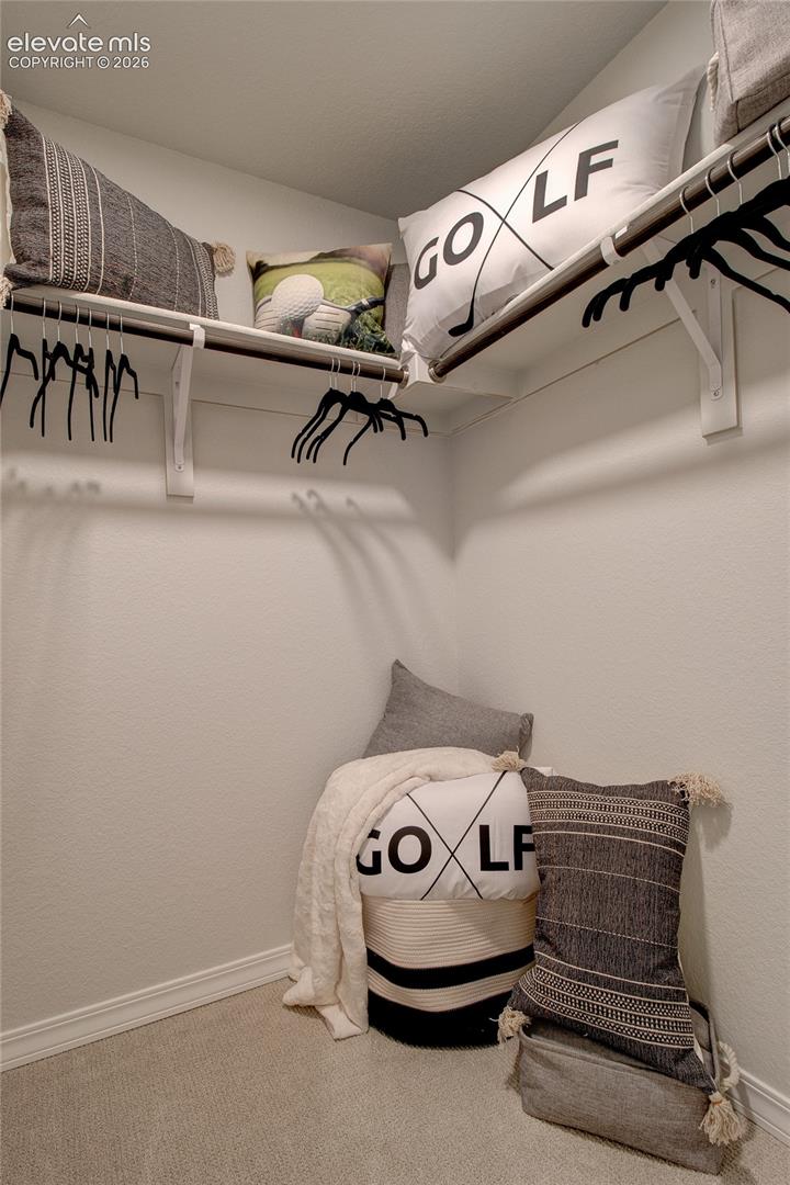 Walk-in storage space featuring neutral carpeting, overhead shelving, and wall-mounted garment rods