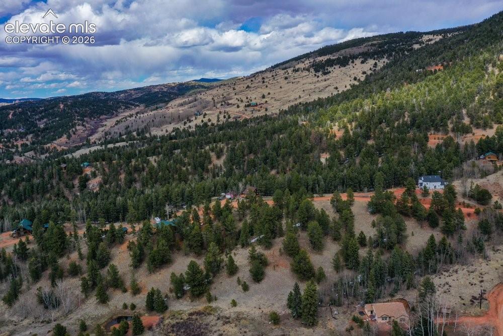 Mountain view with a forest view