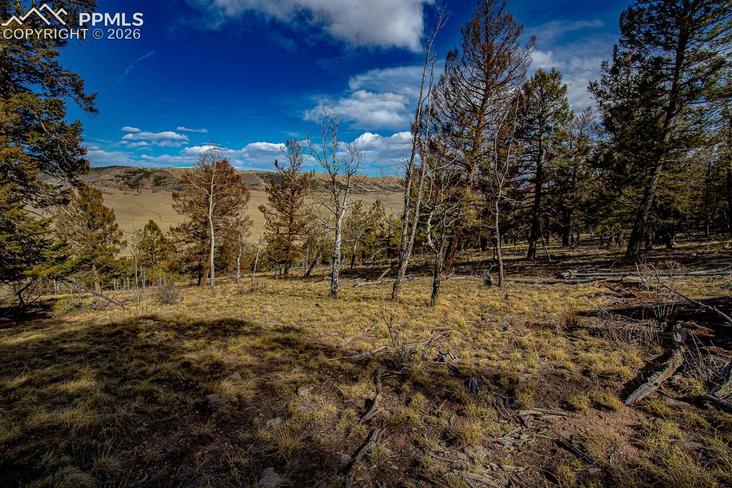 Photo 37 of 5302 Middle Fork Vista, Fairplay