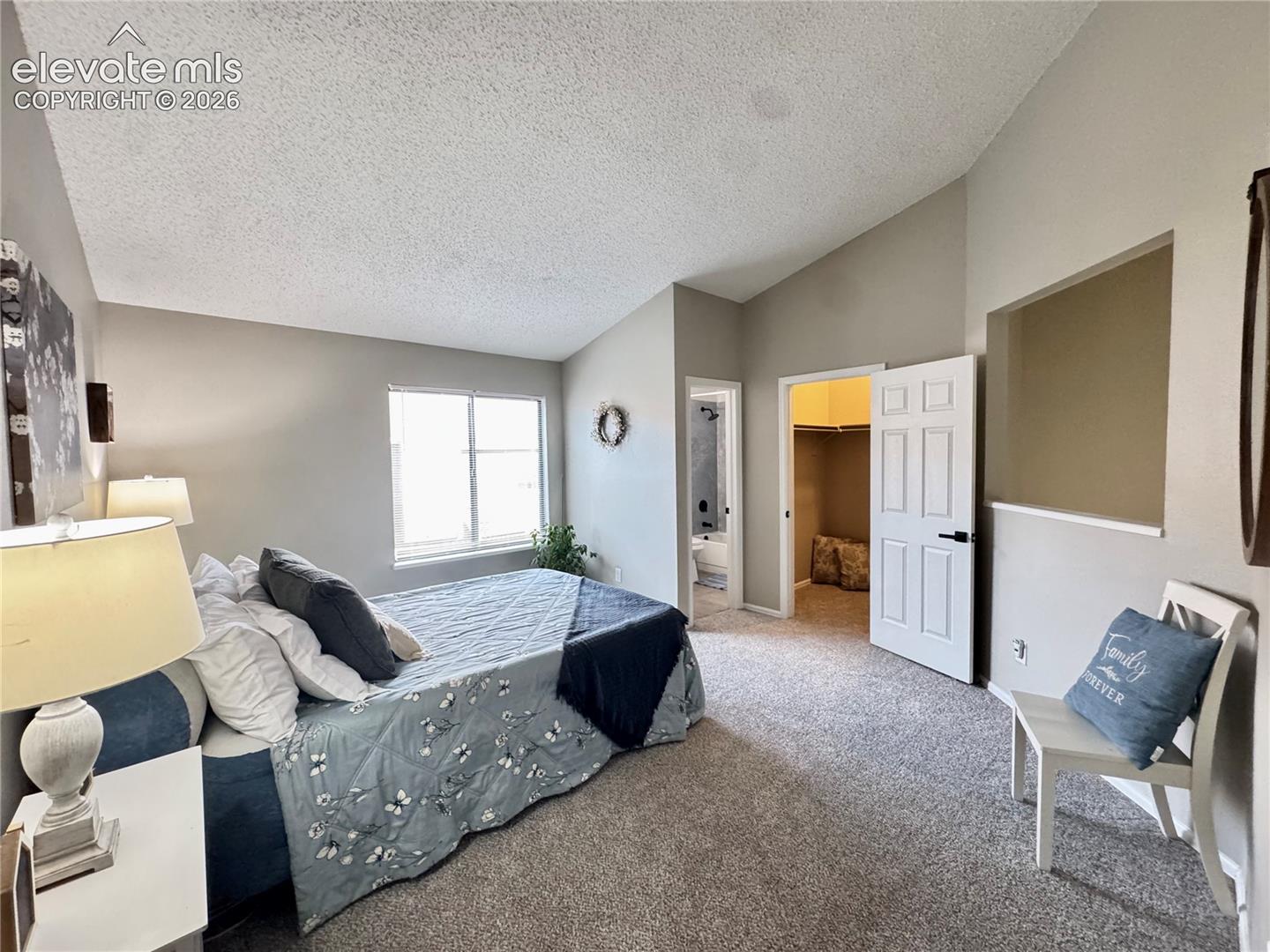 Vaulted ceiling, neutral wall tones, interior wall cut-out, and wall-to-wall carpeting