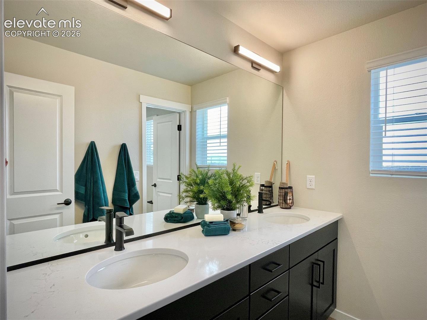 Photo 6 of 7543 Desert Wrangler Drive, Colorado Springs