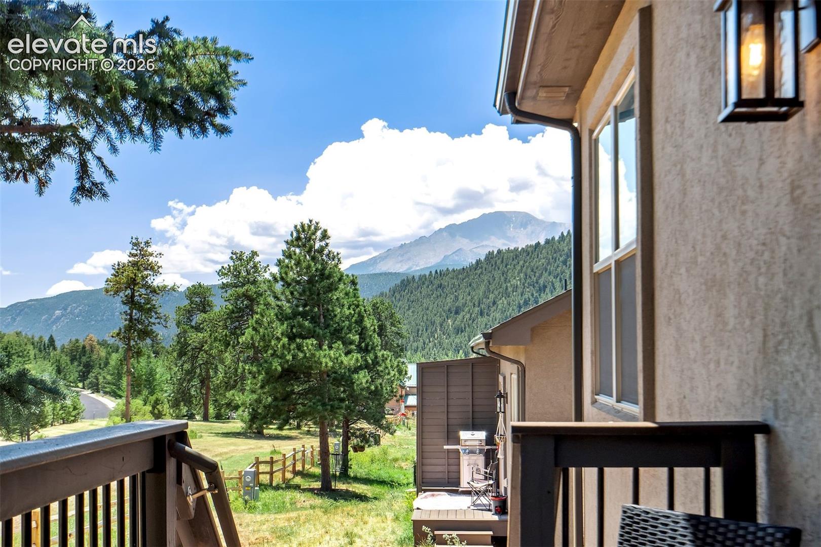 528 Brecken Ct, Woodland Park, CO 80863