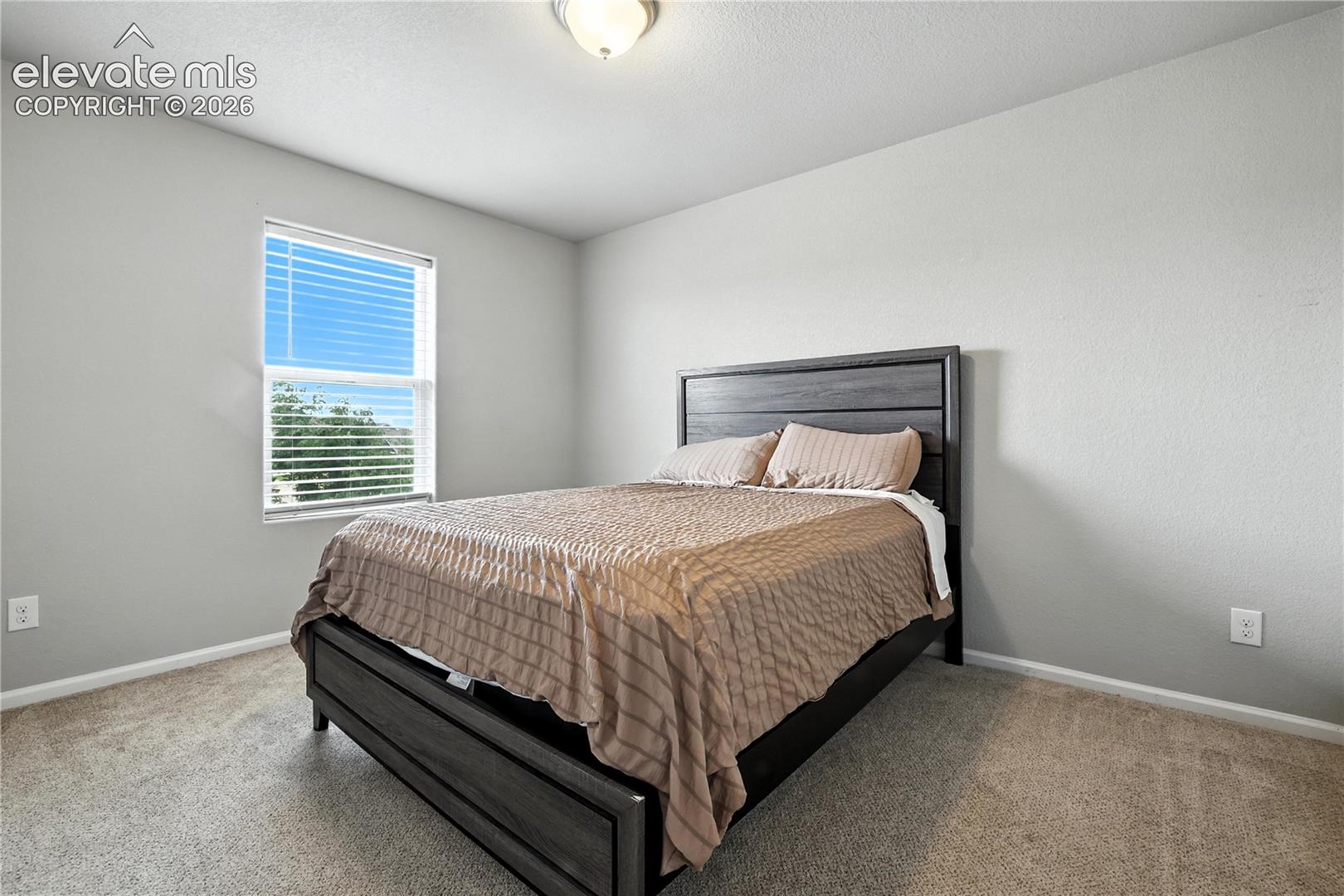 Neutral wall color, window with blinds, and carpeted flooring