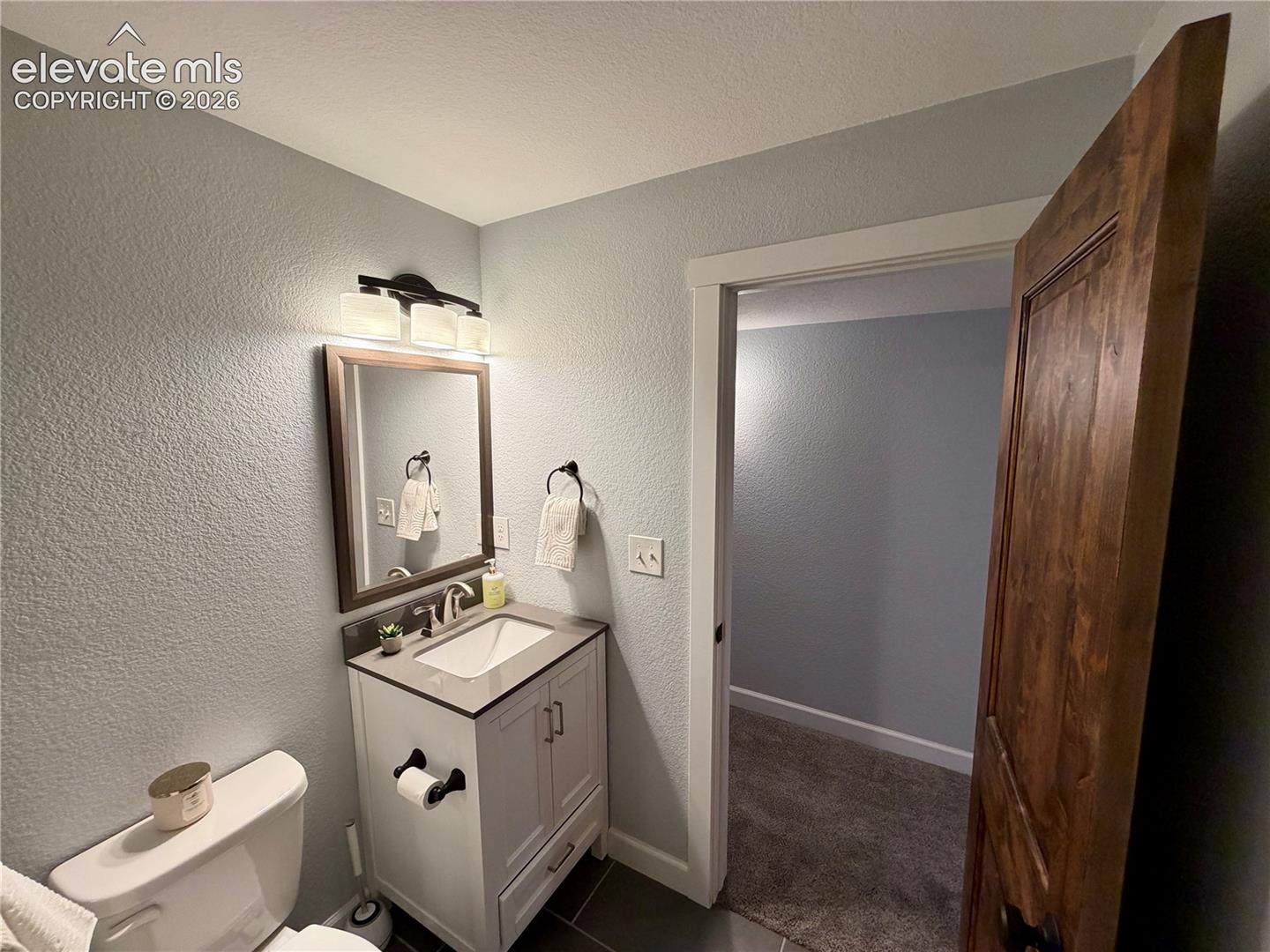 Basement Bathroom-Vanity area featuring a single-sink vanity with white cabinetry, a rectangular basin, and a dark countertop