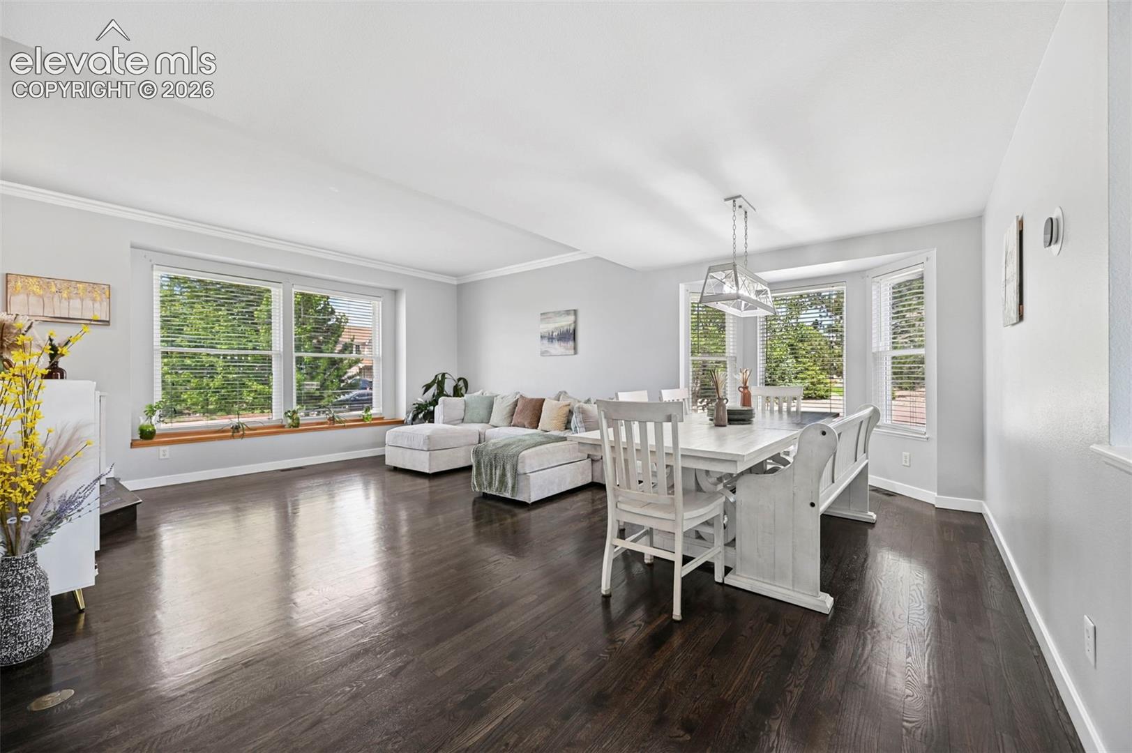 Expansive main living area featuring dark wood-finish flooring, white crown molding, and light gray wall tones