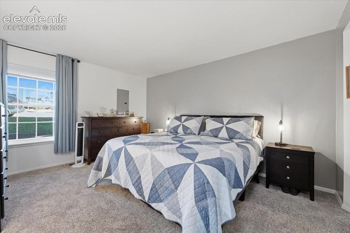 Bedroom featuring neutral-toned carpeting, a gray accent wall, and a multi-pane window