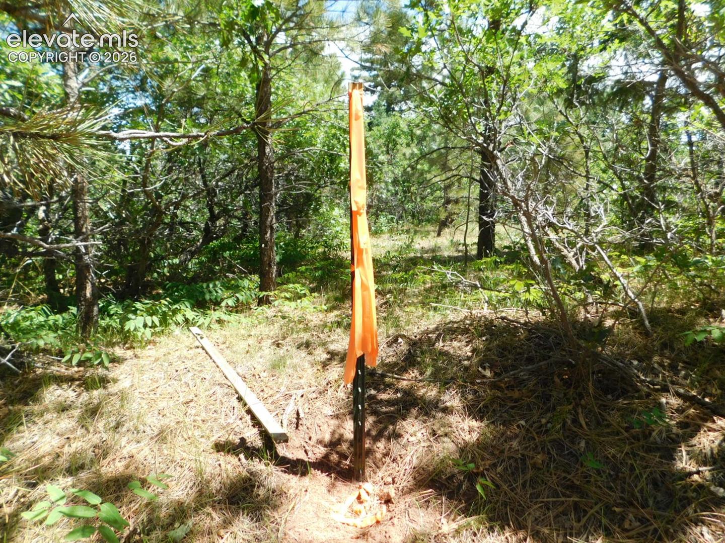 Photo 16 of 6447 Thunderbird Road, Larkspur