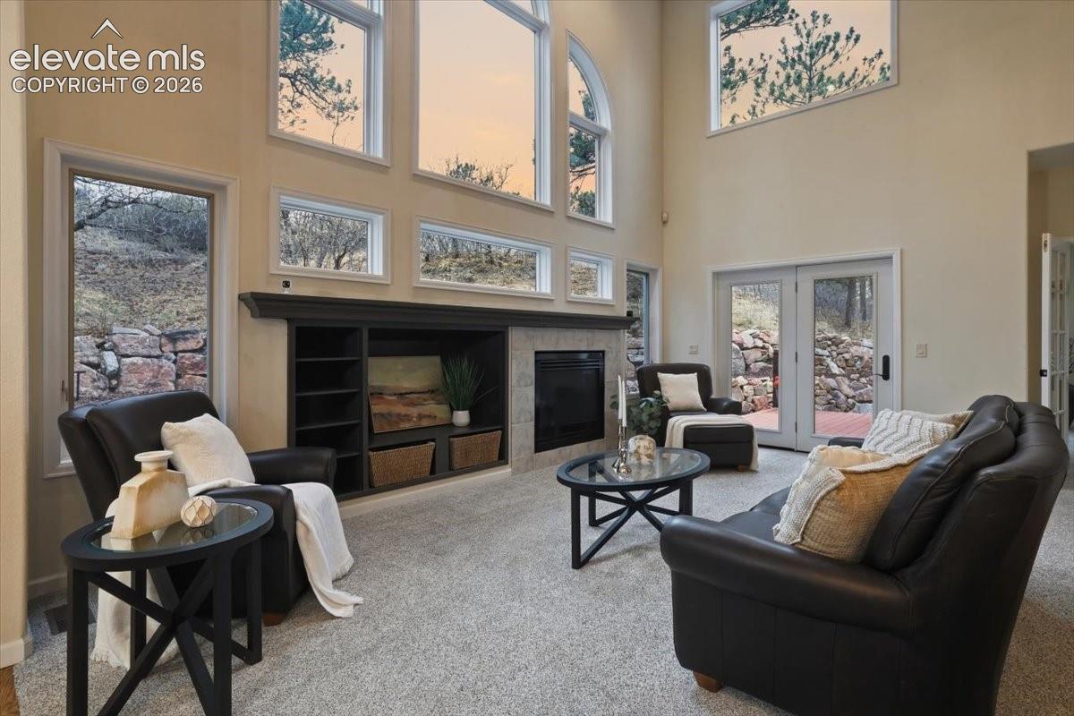 Vaulted ceiling with an arched window, integrated fireplace, built-in shelving, French doors, and light-colored carpet