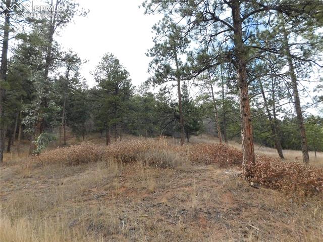 Photo 8 of 8055 Acoma Drive, Larkspur
