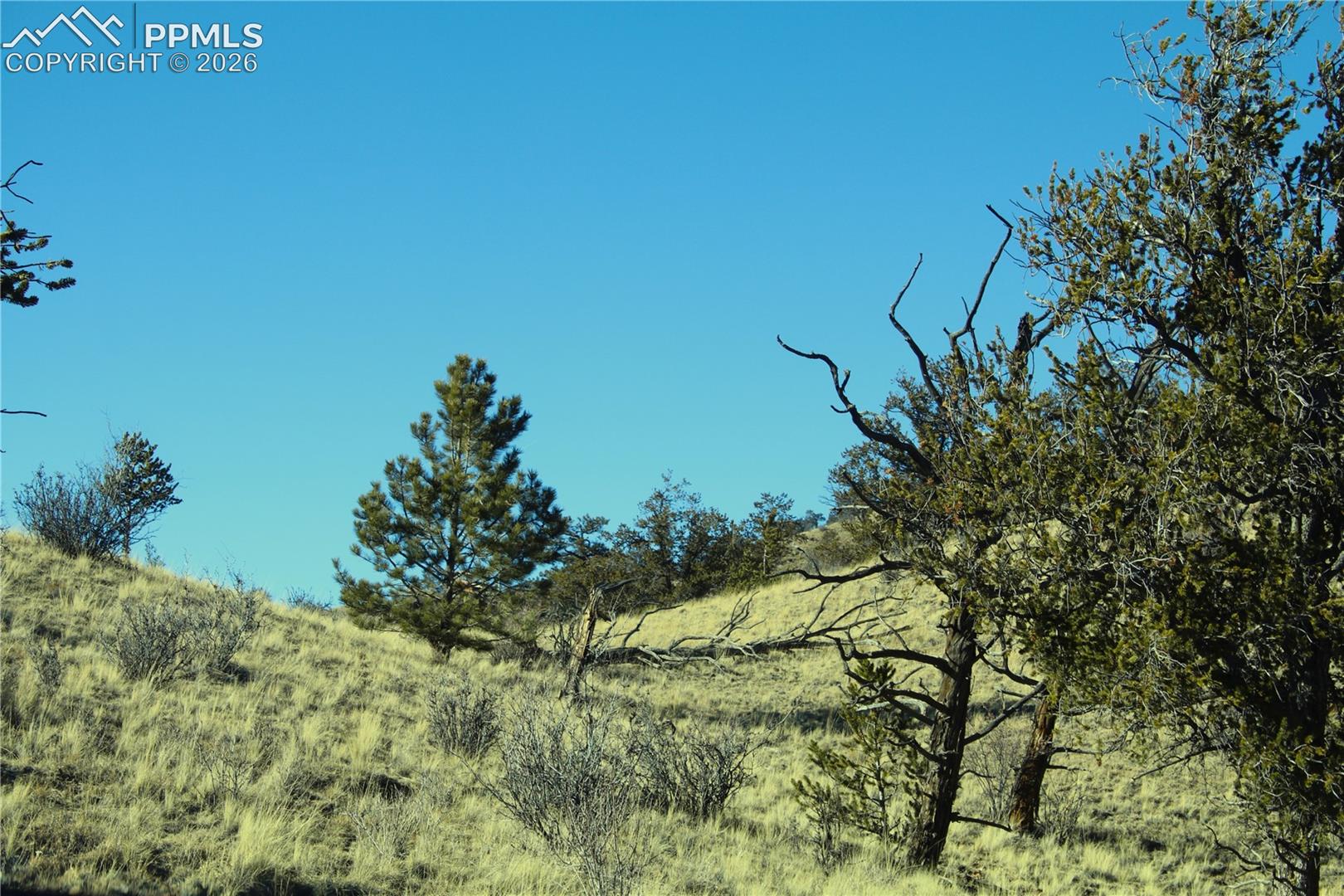 Photo 9 of 697 Summit Road, Hartsel