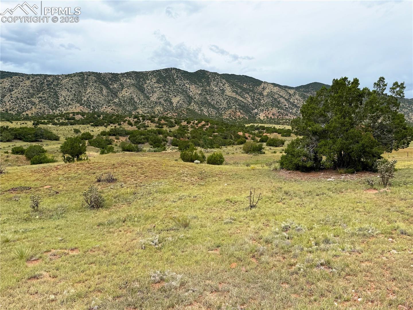 Photo 22 of 601 County Road 69, Canon City