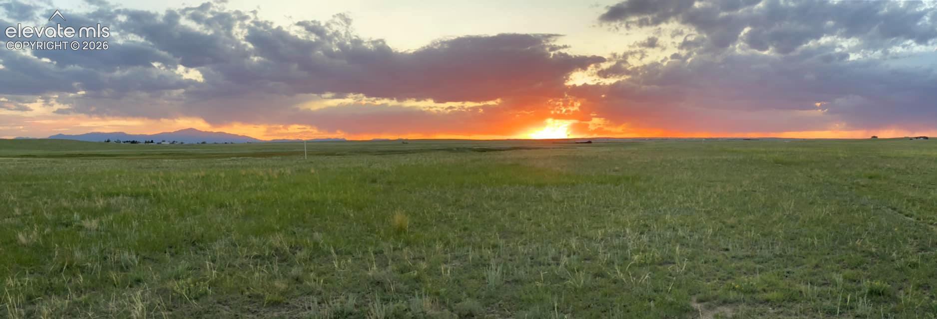 Buy land.