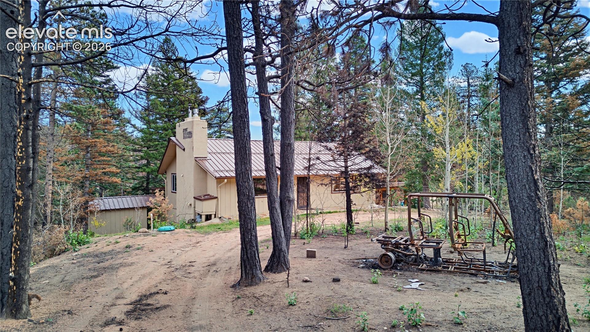 Single-story residence featuring a metal roof, stucco exterior, exterior chimney, and mature evergreen forest setting