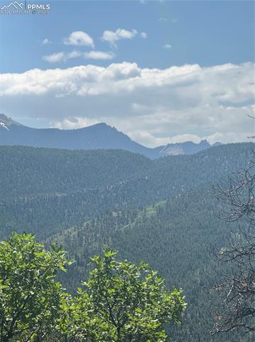 Mountain view featuring a forest