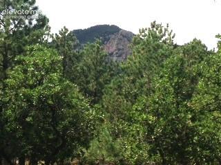 Photo 9 of 667 Silver Oak Grove, Colorado Springs