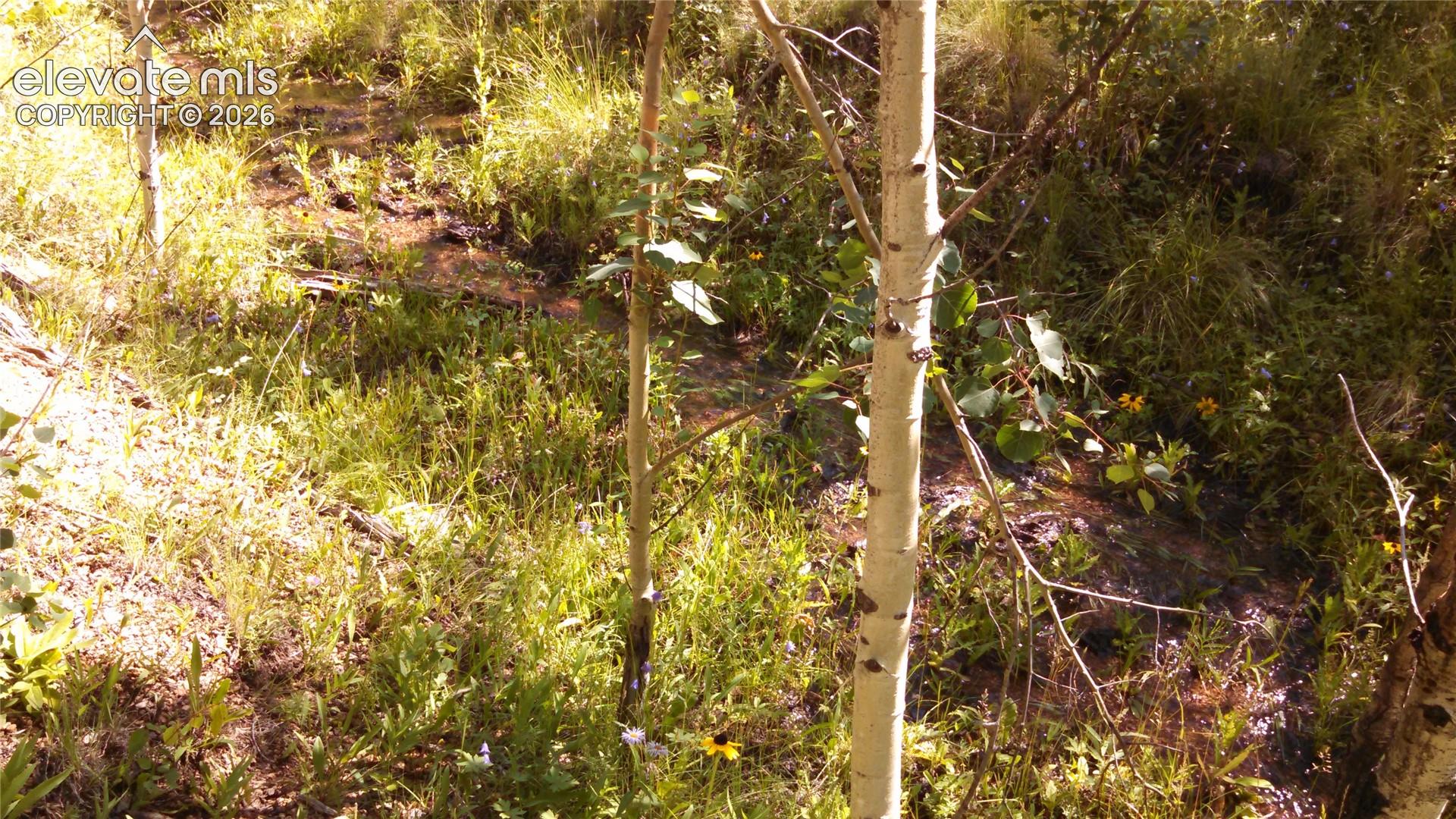 Photo 21 of 0 unknown NA, Cripple Creek