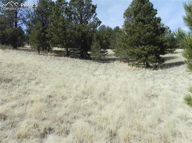 Photo 7 of 1058 Monarch Drive, Cripple Creek