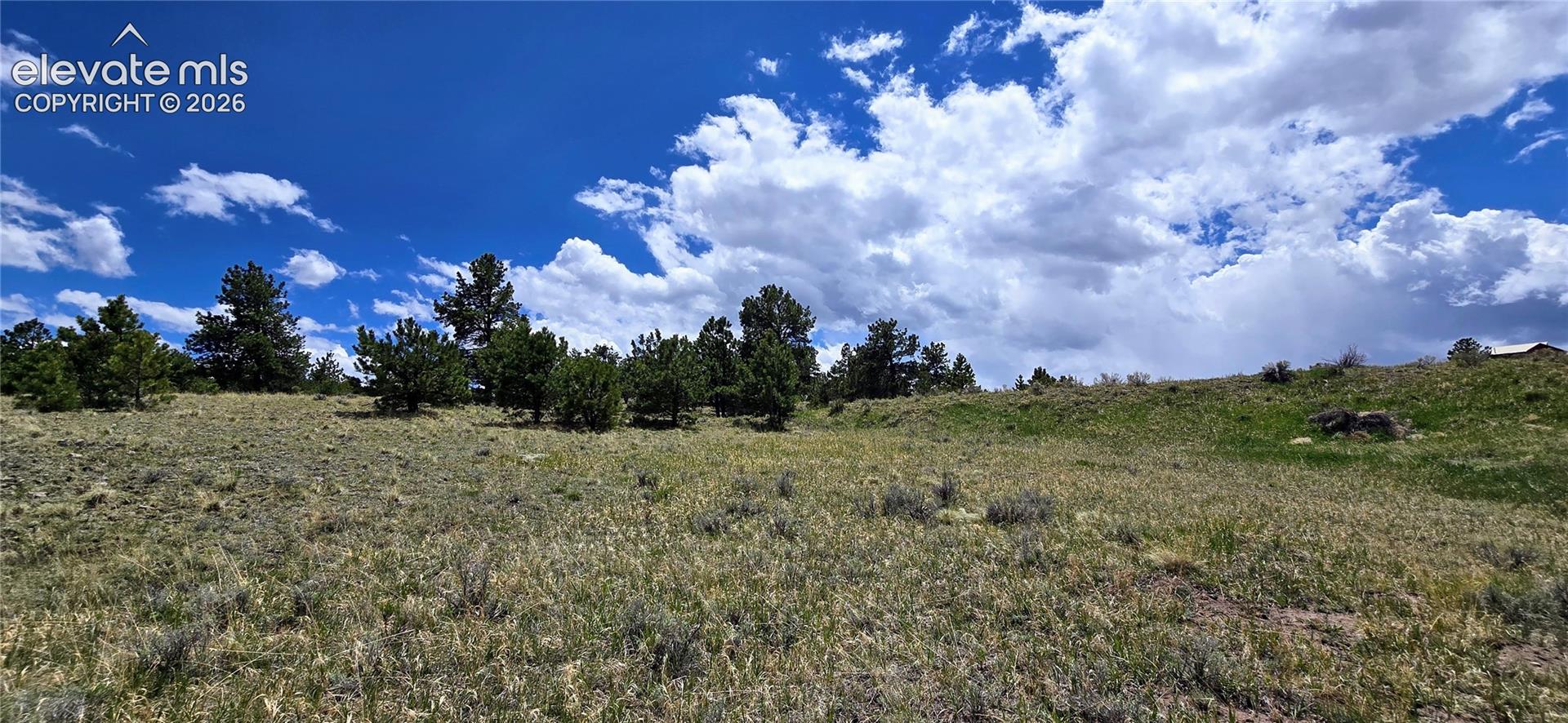 Expansive natural landscape featuring rolling terrain and scattered evergreen trees