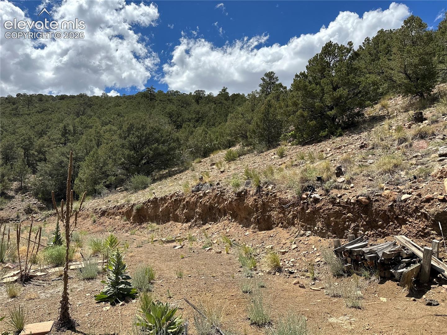 Photo 6 of 2973 Driftwood Road, Westcliffe