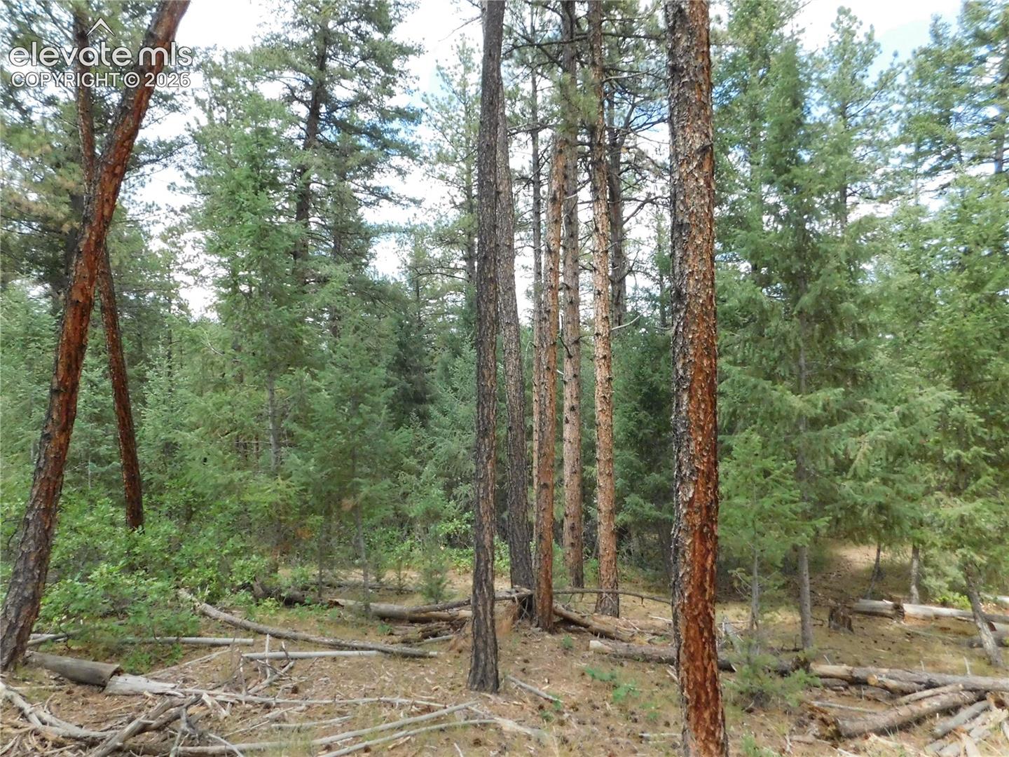 Photo 41 of 8139 Bannock Drive, Larkspur
