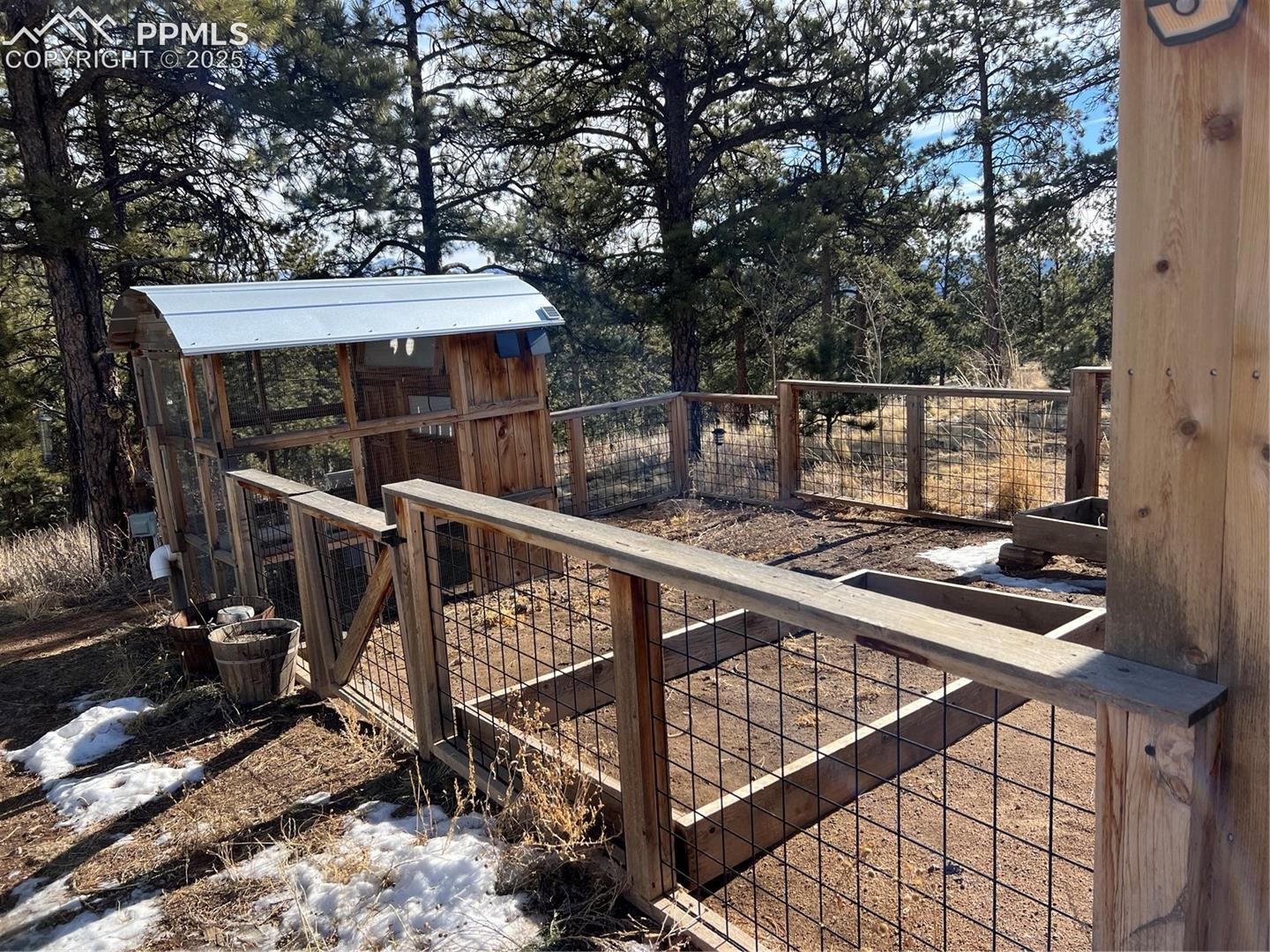 Chicken Coop