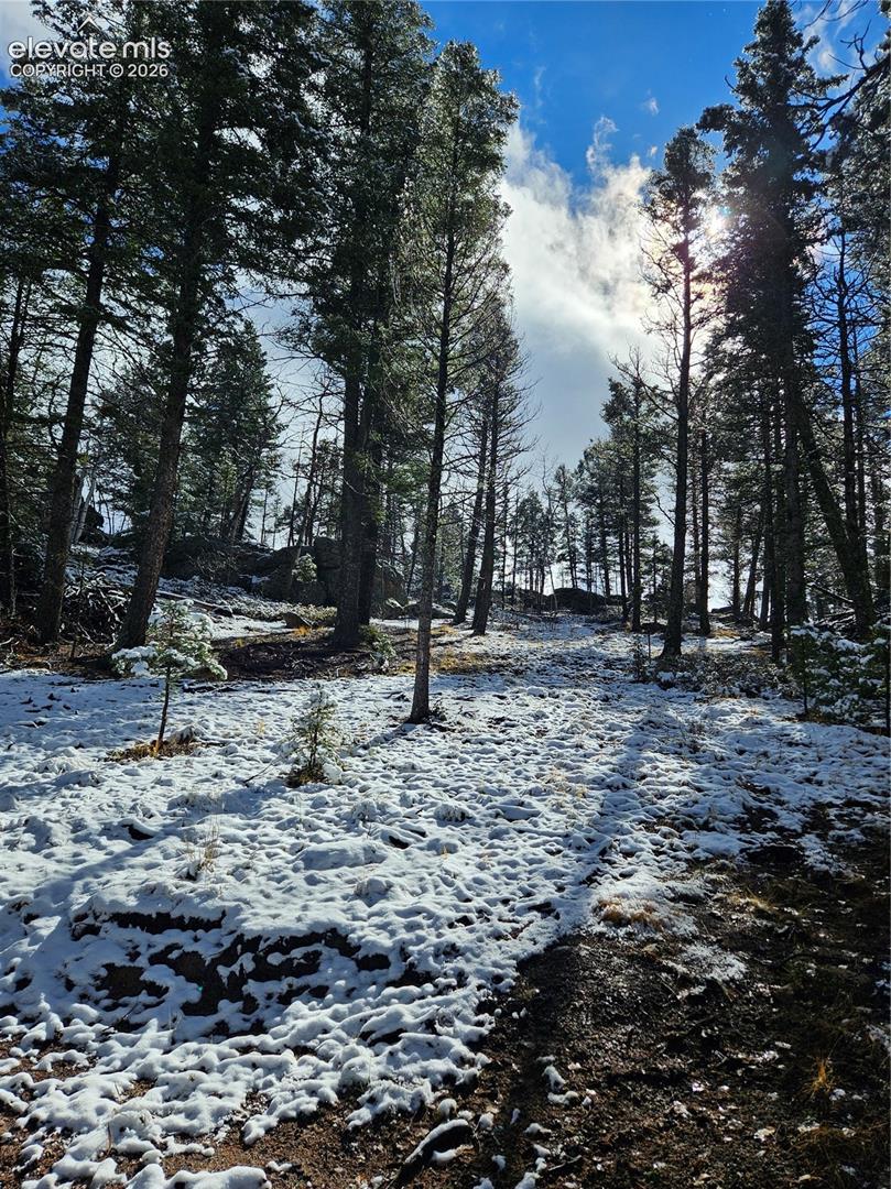 Wooded parcel featuring mature evergreen trees, rock outcroppings, and natural topography