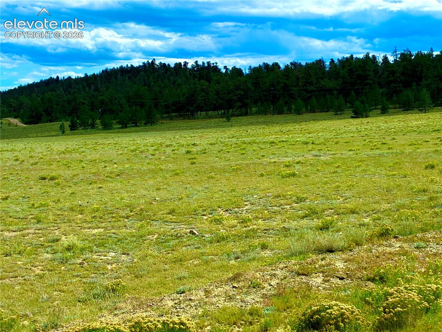 Photo 8 of 3984 Elkhorn Road, Hartsel