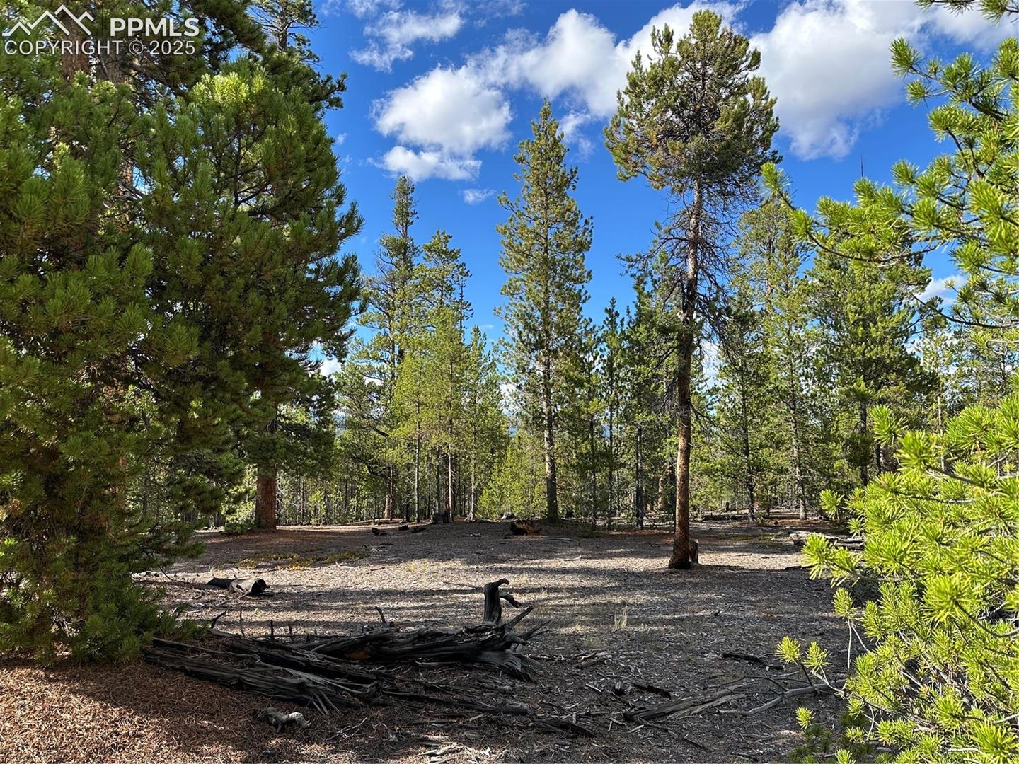 Photo 9 of 143 Fir Drive, Leadville